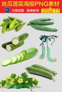 吃沙瓜的视频素材大全图片,尽享夏日清爽瞬间