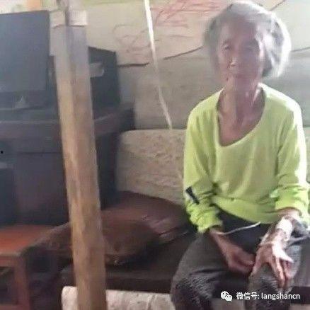 平顶山吃瓜中毒事件视频,揭秘瓜果安全与食品安全危机